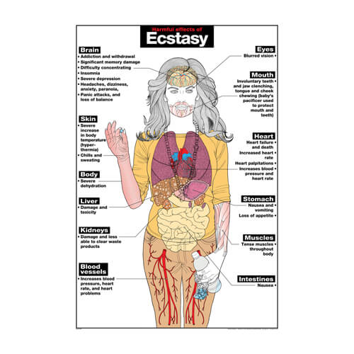 Ecstasy Poster Ecstasy Poster