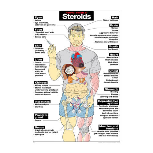 Steroids Poster Steroids Poster